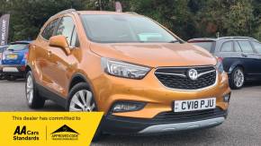 VAUXHALL MOKKA X 2018 (18) at Chilham Sports Cars Canterbury