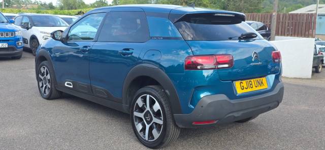 2018 Citroen C4 Cactus 1.2 PureTech 130 Flair 5dr